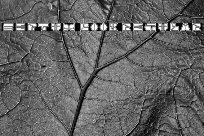 Septum Book Regular Font examples