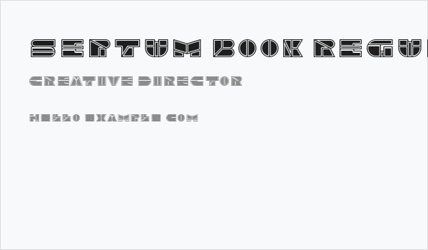 Septum Book Regular Business Card