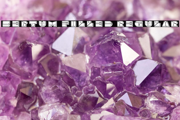 Septum Filled Regular Example 3