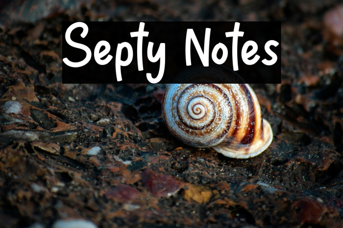 Septy Notes Example 1