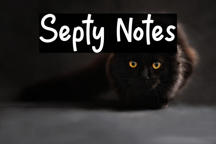 Septy Notes Example 2