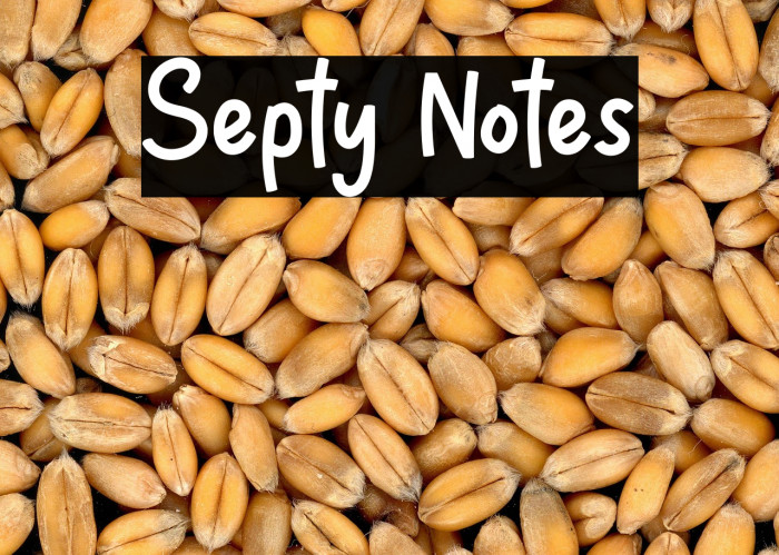 Septy Notes Example 3