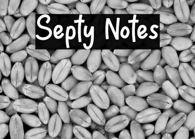 Septy Notes Font examples