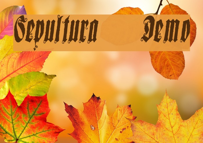 Sepultura Demo Font examples