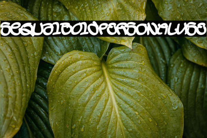 SequalBoldPERSONALUSE Example 1