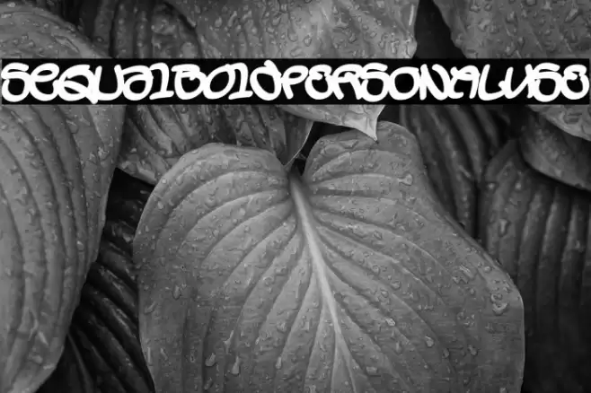 SequalBoldPERSONALUSE Font examples