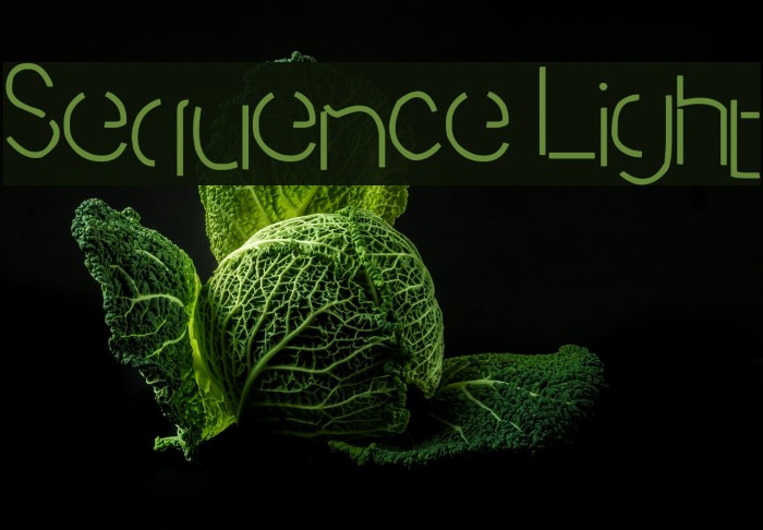 Sequence Light Font examples