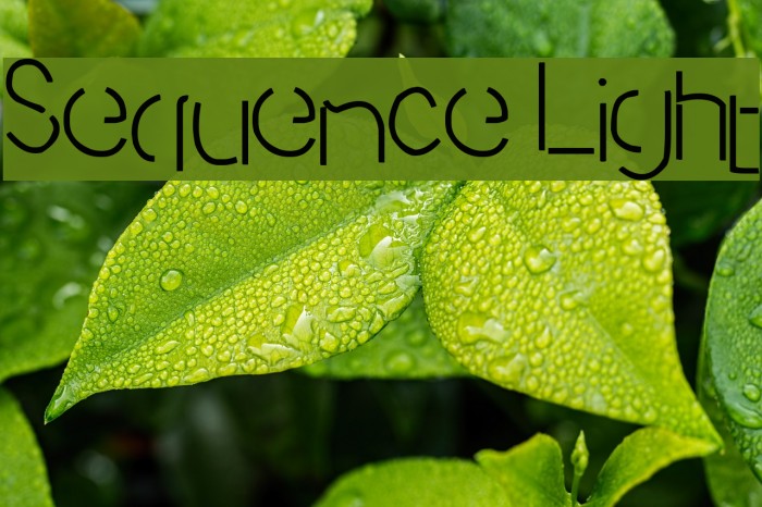Sequence Light Font examples