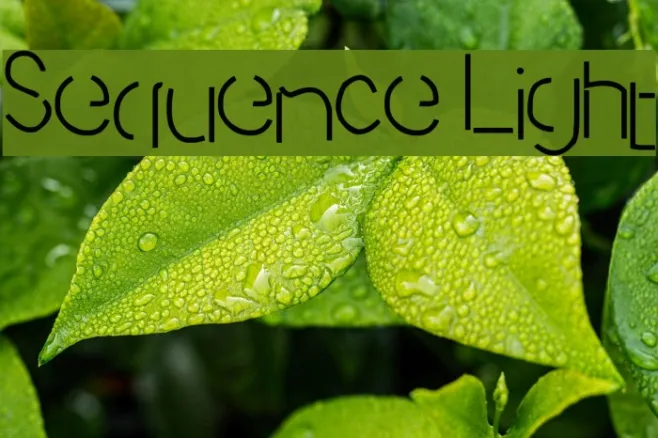 Sequence Light Example 3