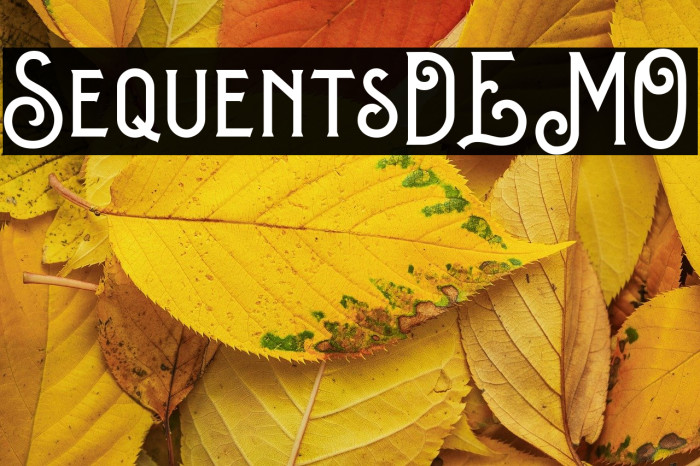 SequentsDEMO Example 1