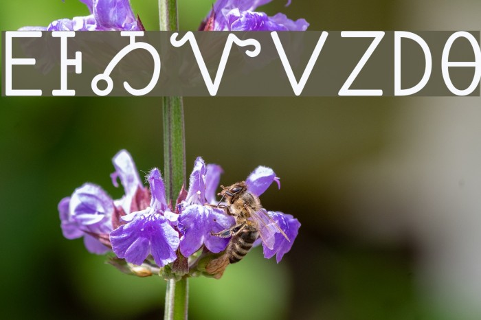 Sequoyah Font examples
