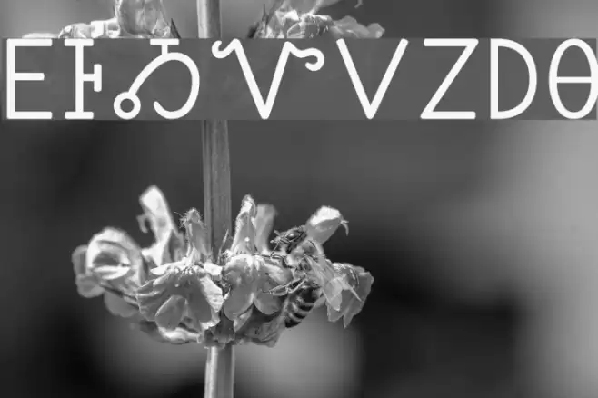 Sequoyah Caratteri examples