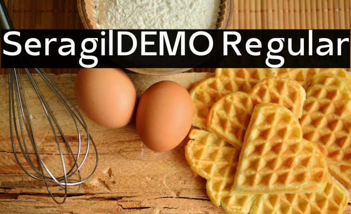 SeragilDEMO Regular Example 1
