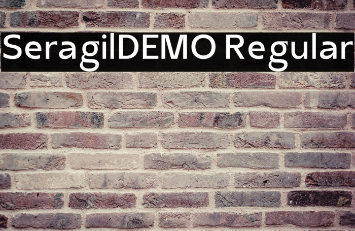 SeragilDEMO Regular Example 2