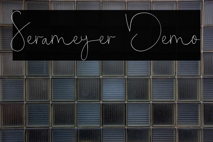 Serameyer Demo Example 3