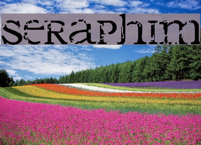 Seraphim Font examples