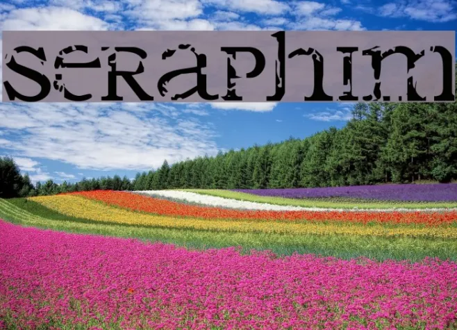 Seraphim Example 2