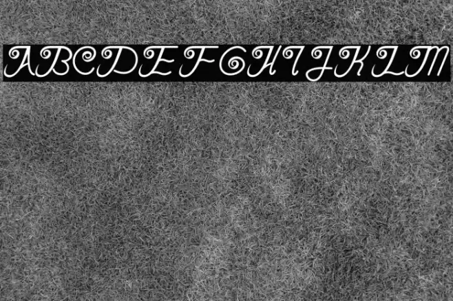 Serasa Regular Font examples