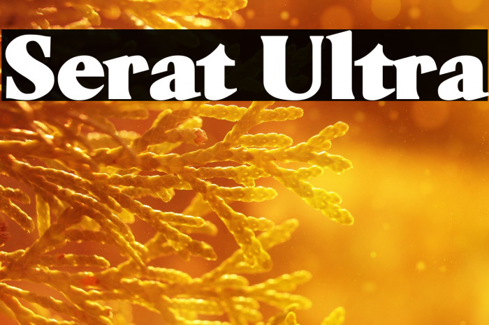 Serat Ultra Example 2