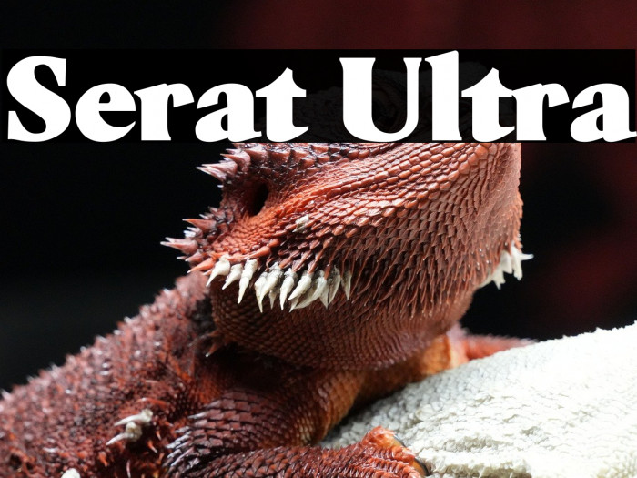 Serat Ultra Example 3
