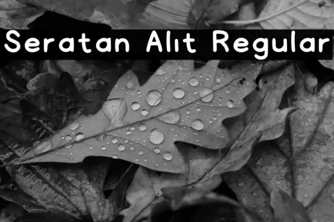 Seratan Alit Regular Font examples