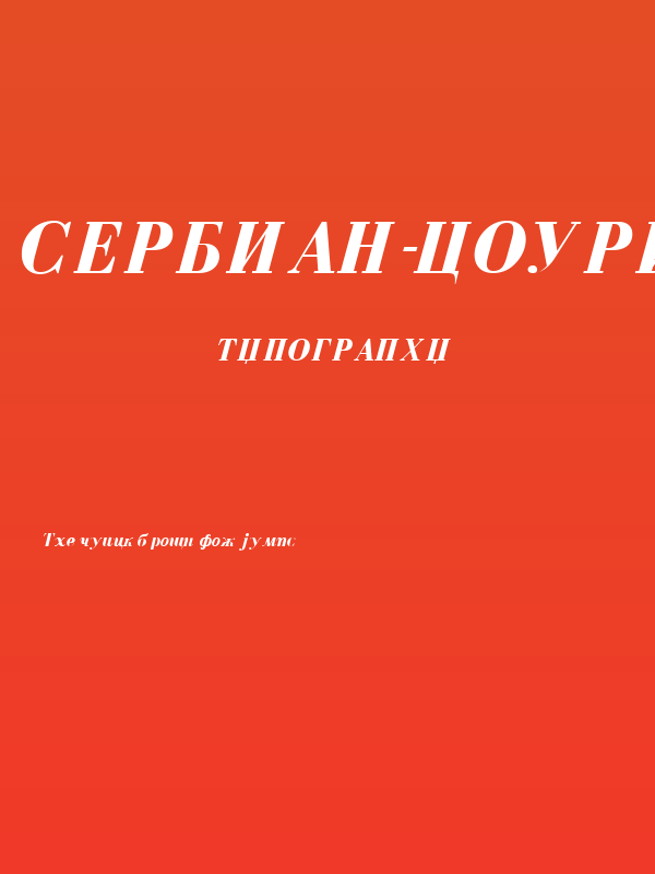 Serbian-Courier-Bold-Italic Poster