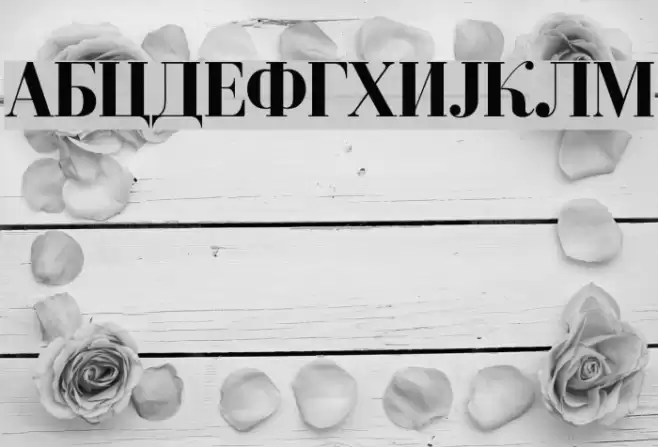 Serbian-Courier-Bold Font examples