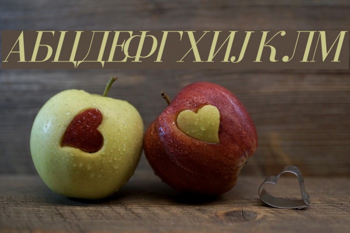 Serbian-Courier-Italic Font examples