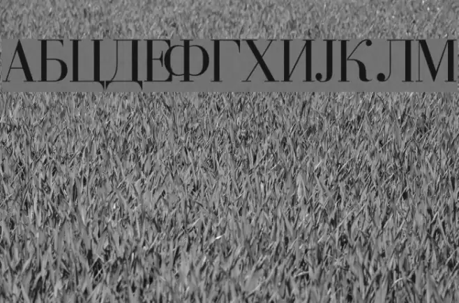 Serbian-Courier Font examples