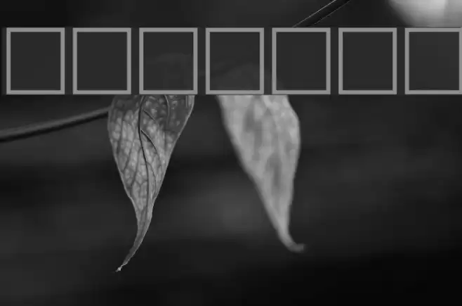 Serbian-Elegant-Bold-Italic Font examples