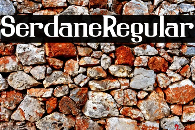 SerdaneRegular Example 1