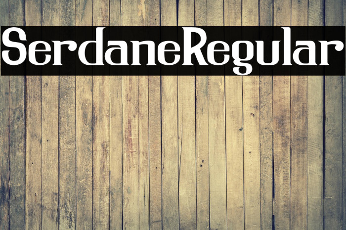 SerdaneRegular Example 3
