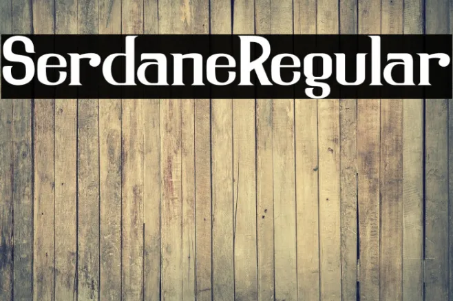 SerdaneRegular Example 3