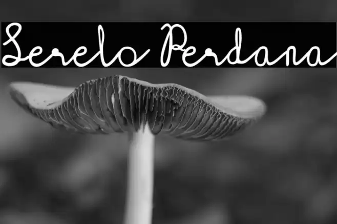 Serelo Perdana Schriftart examples