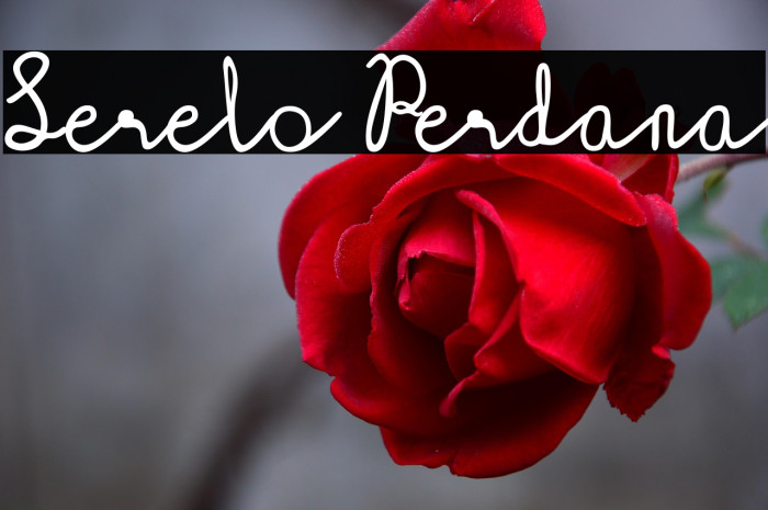 Serelo Perdana Example 3
