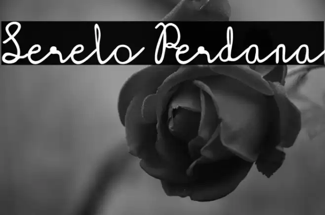 Serelo Perdana Schriftart examples