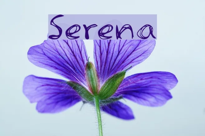 Serena Example 1