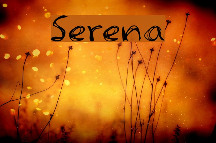Serena Example 2