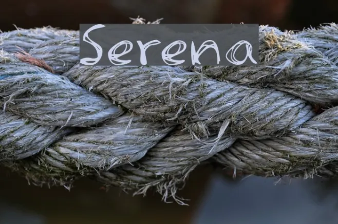 Serena Example 3
