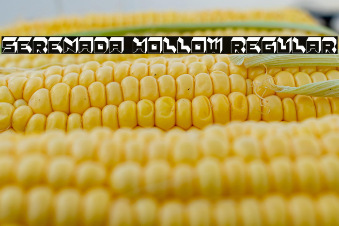 Serenada Hollow Regular Example 2