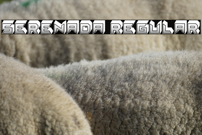 Serenada Regular Example 1