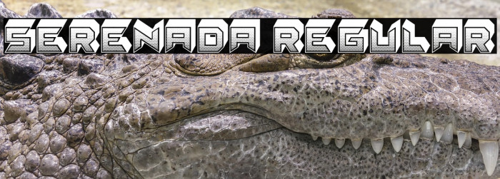 Serenada Regular Example 2