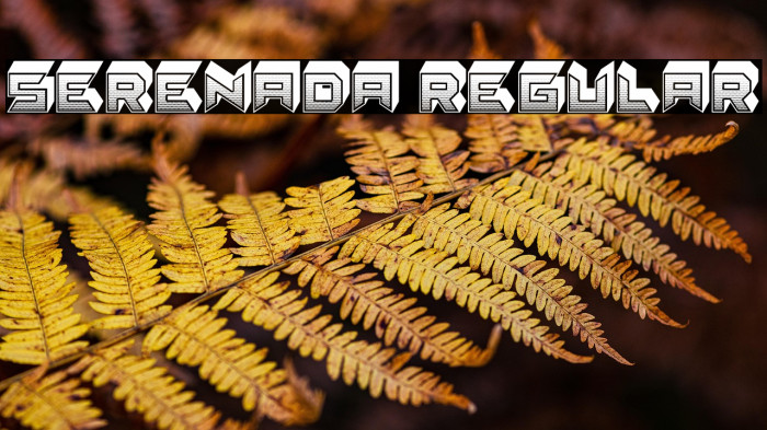 Serenada Regular Example 3