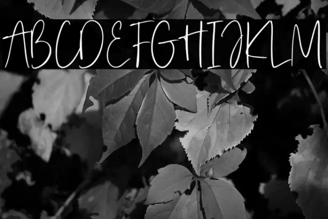 Serenade Essentials फ़ॉन्ट examples