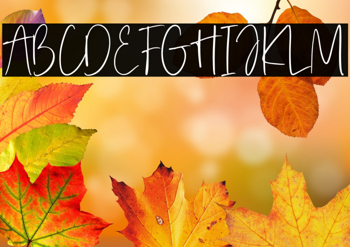 Serenade Essentials Example 3