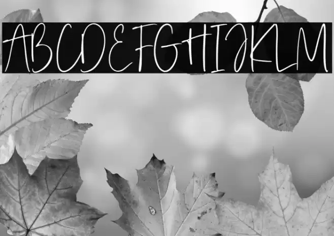 Serenade Essentials फ़ॉन्ट examples