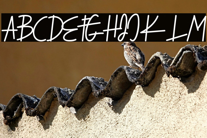 Serendipity Example 1