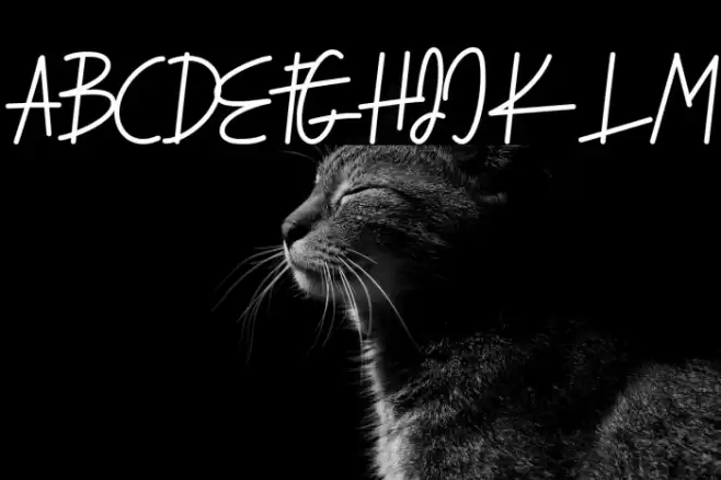 Serendipity Font examples