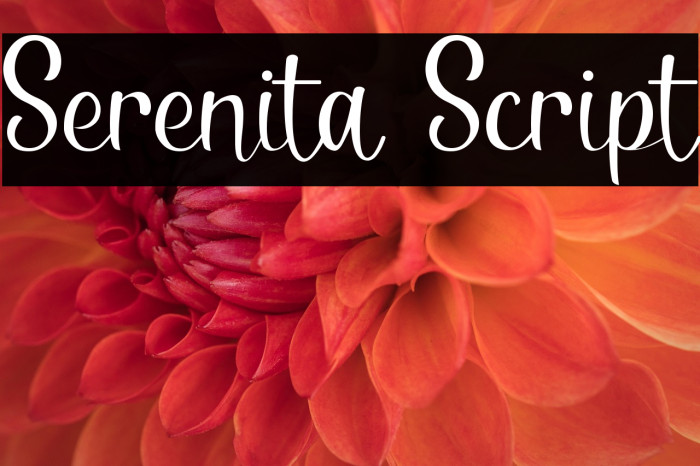 Serenita Script Example 2