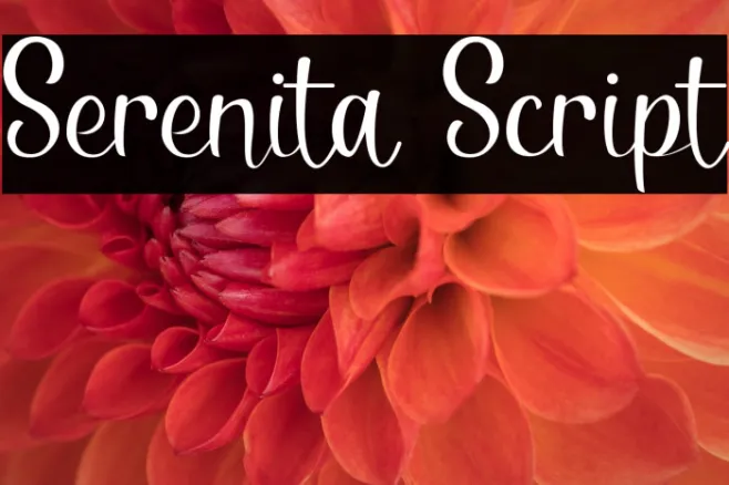 Serenita Script Example 2